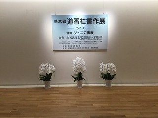 1561094252981.jpg