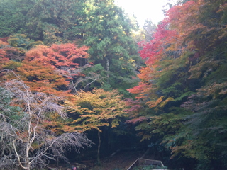DSC_0044.jpg