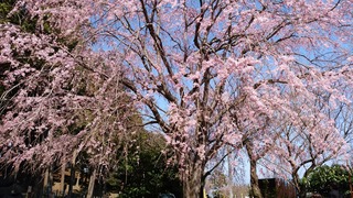 IMG_20180325_133608.jpg